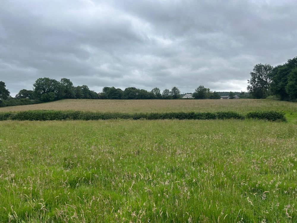 25.5 ACRES OF GRASS FOR MOWING ONCE OR TWICE - BIDS PER ACRE