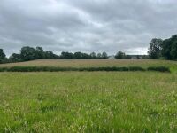 25.5 ACRES OF GRASS FOR MOWING ONCE OR TWICE - BIDS PER ACRE