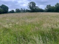 25.5 ACRES OF GRASS FOR MOWING ONCE OR TWICE - BIDS PER ACRE - 3