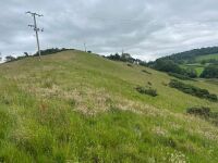 25.5 ACRES OF GRASS FOR MOWING ONCE OR TWICE - BIDS PER ACRE - 5