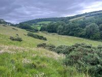 25.5 ACRES OF GRASS FOR MOWING ONCE OR TWICE - BIDS PER ACRE - 6