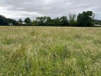 25.5 ACRES OF GRASS FOR MOWING ONCE OR TWICE - BIDS PER ACRE - 7