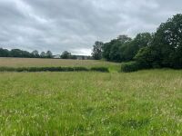 25.5 ACRES OF GRASS FOR MOWING ONCE OR TWICE - BIDS PER ACRE - 8