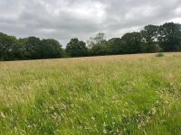 25.5 ACRES OF GRASS FOR MOWING ONCE OR TWICE - BIDS PER ACRE - 10