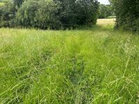 25.5 ACRES OF GRASS FOR MOWING ONCE OR TWICE - BIDS PER ACRE - 12