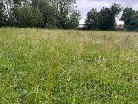 25.5 ACRES OF GRASS FOR MOWING ONCE OR TWICE - BIDS PER ACRE - 13