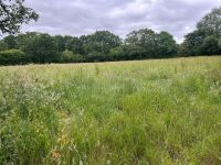25.5 ACRES OF GRASS FOR MOWING ONCE OR TWICE - BIDS PER ACRE - 14