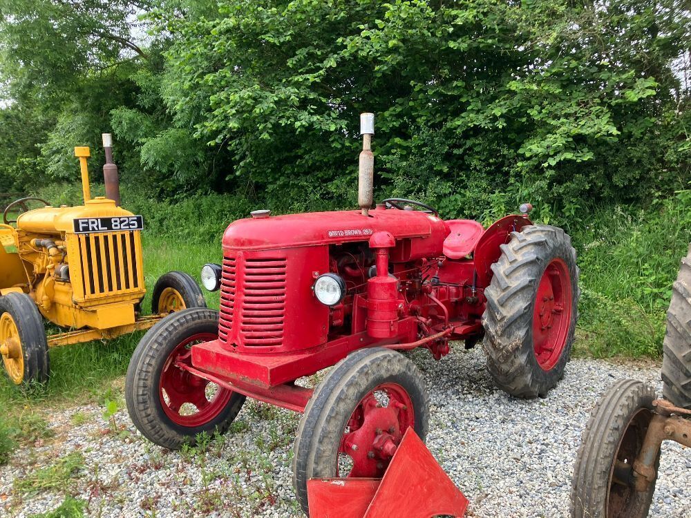 DAVID BROWN 25D 2WD TRACTOR