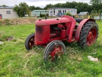 DAVID BROWN 2WD TRACTOR (S/R) - 2