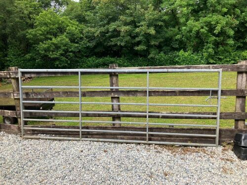 IAE 10' FIELD GATE (J)
