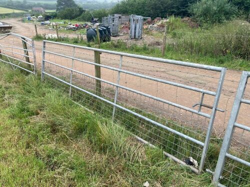15' GALVANISED HALF MESH GATE (2)