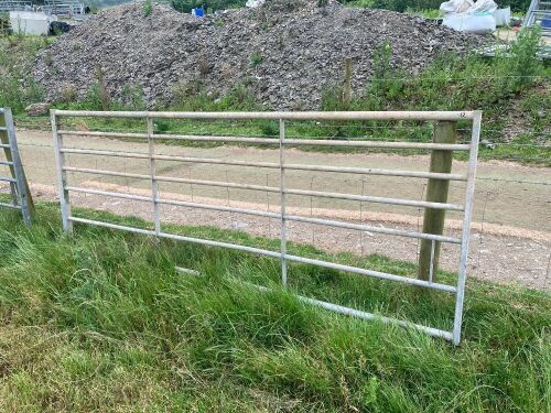 10' GALVANISED GATE (12)