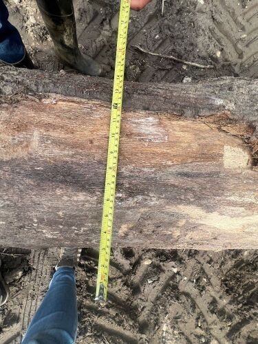 SOLID OAK WOOD