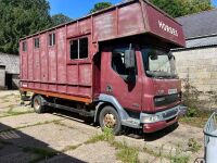 2005 DAF 45.150 HORSE LORRY - 2