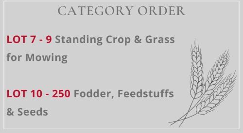 SOUTH WEST SALE LOT CATEGORIES