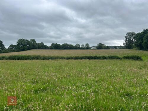 25.5 ACRES OF GRASS FOR MOWING - BIDS PER ACRE