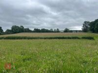 25.5 ACRES OF GRASS FOR MOWING - BIDS PER ACRE