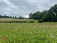 25.5 ACRES OF GRASS FOR MOWING - BIDS PER ACRE - 2