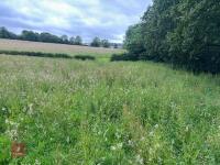 25.5 ACRES OF GRASS FOR MOWING - BIDS PER ACRE - 3