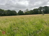 25.5 ACRES OF GRASS FOR MOWING - BIDS PER ACRE - 4