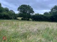 25.5 ACRES OF GRASS FOR MOWING - BIDS PER ACRE - 5