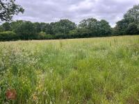 25.5 ACRES OF GRASS FOR MOWING - BIDS PER ACRE - 8