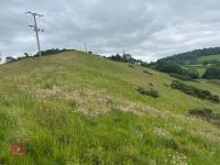 25.5 ACRES OF GRASS FOR MOWING - BIDS PER ACRE - 12