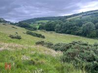 25.5 ACRES OF GRASS FOR MOWING - BIDS PER ACRE - 13