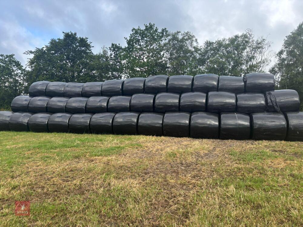 232 ROUND BALES OF 2026 HAYLAGE - BIDS PER BALE