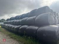 232 ROUND BALES OF 2026 HAYLAGE - BIDS PER BALE - 6