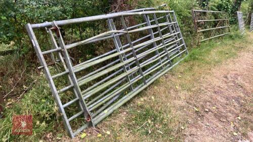 3 X 11' GALVANISED FIELD GATES