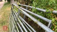 3 X 11' GALVANISED FIELD GATES - 5
