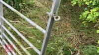 9' GALVANISED FIELD GATE - 7