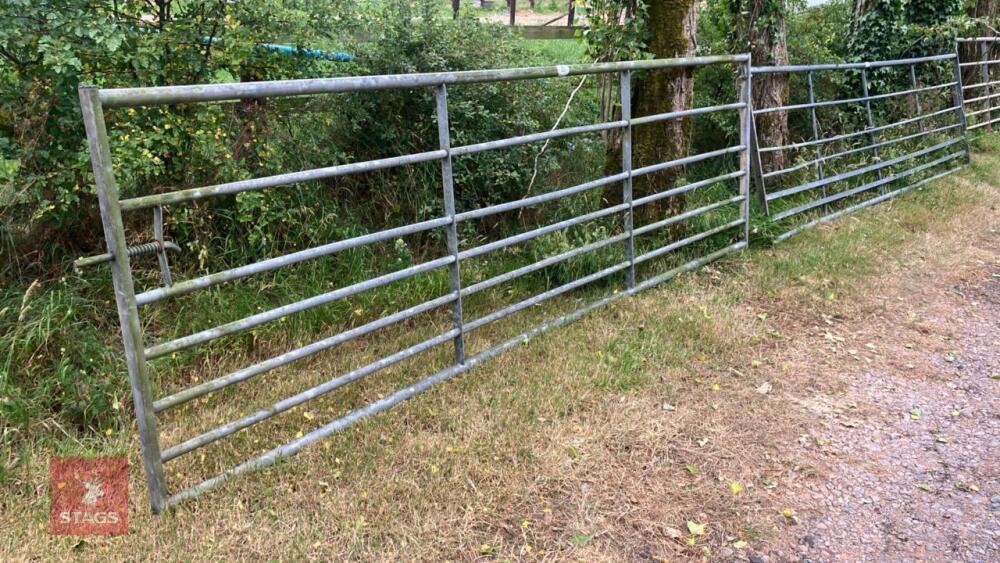 12' GALVANISED FIELD GATE