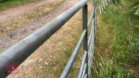12' GALVANISED FIELD GATE - 9