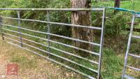 12' GALVANISED FIELD GATE - 10