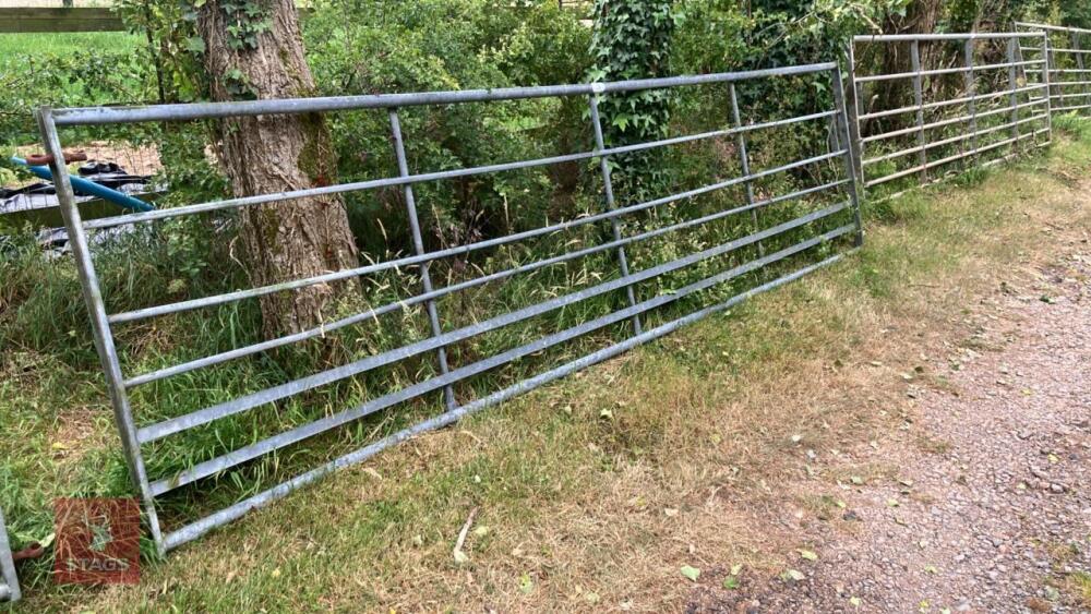 14' GALVANISED FIELD GATE