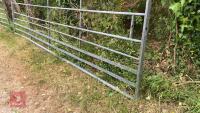 14' GALVANISED FIELD GATE - 5