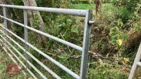 15' GALVANISED FIELD GATE - 6