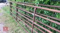 2 x 14' METAL YARD GATES - 6