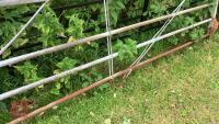 10' 1'' METAL FIELD GATE - 4