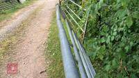 8' GALVANISED YARD GATE - 11