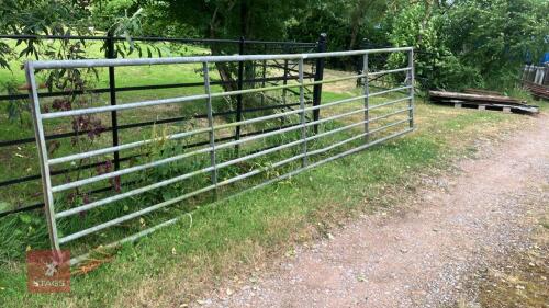 16' GALVANISED FIELD GATE