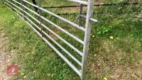 16' GALVANISED FIELD GATE - 6
