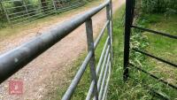 16' GALVANISED FIELD GATE - 10
