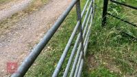 16' GALVANISED FIELD GATE - 11