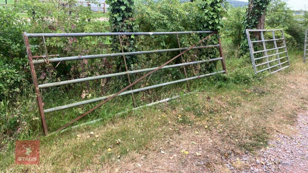 12' HEAVY DUTY METAL FIELD GATE