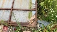 14' 4'' METAL SHEETED DOOR - 3