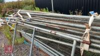 16 HERAS FENCING PANELS - 13