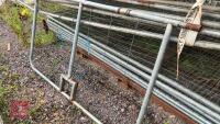 16 HERAS FENCING PANELS - 14